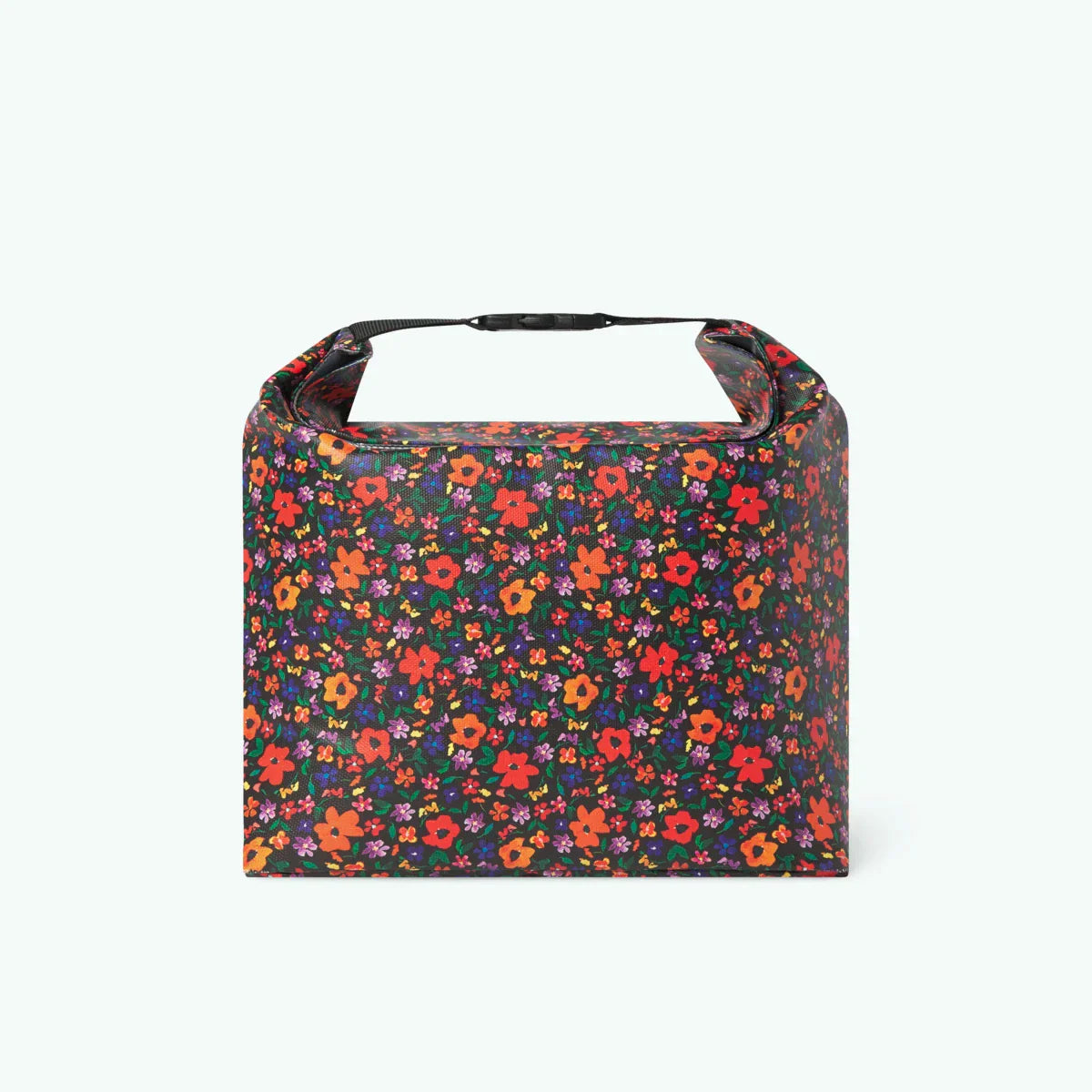 Salta - Sac isotherme