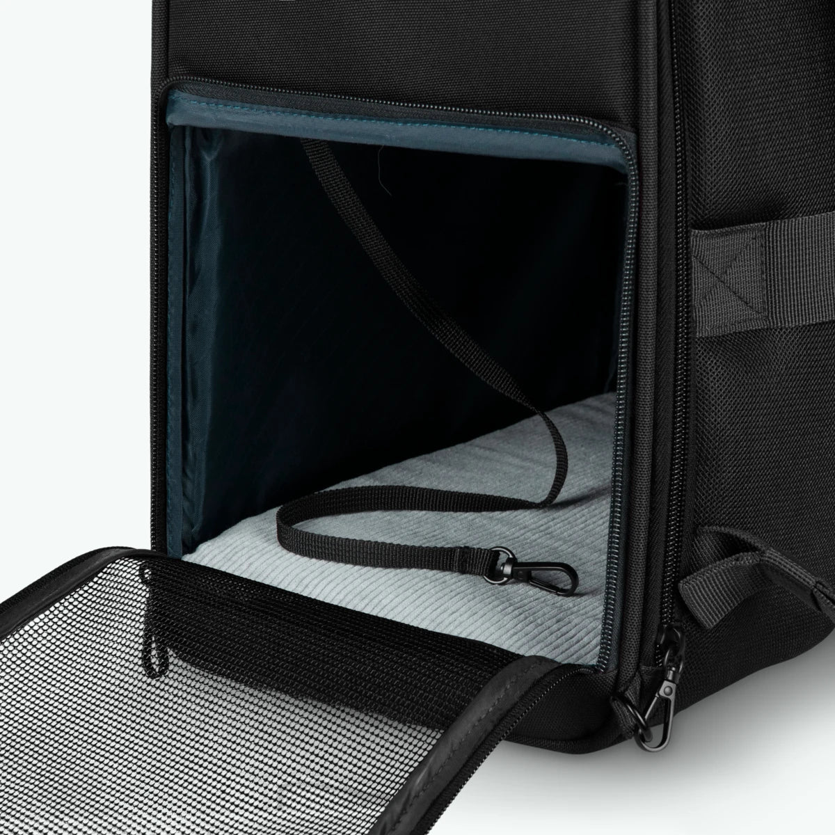 Sac à dos Adventurer pour Animaux Berlin