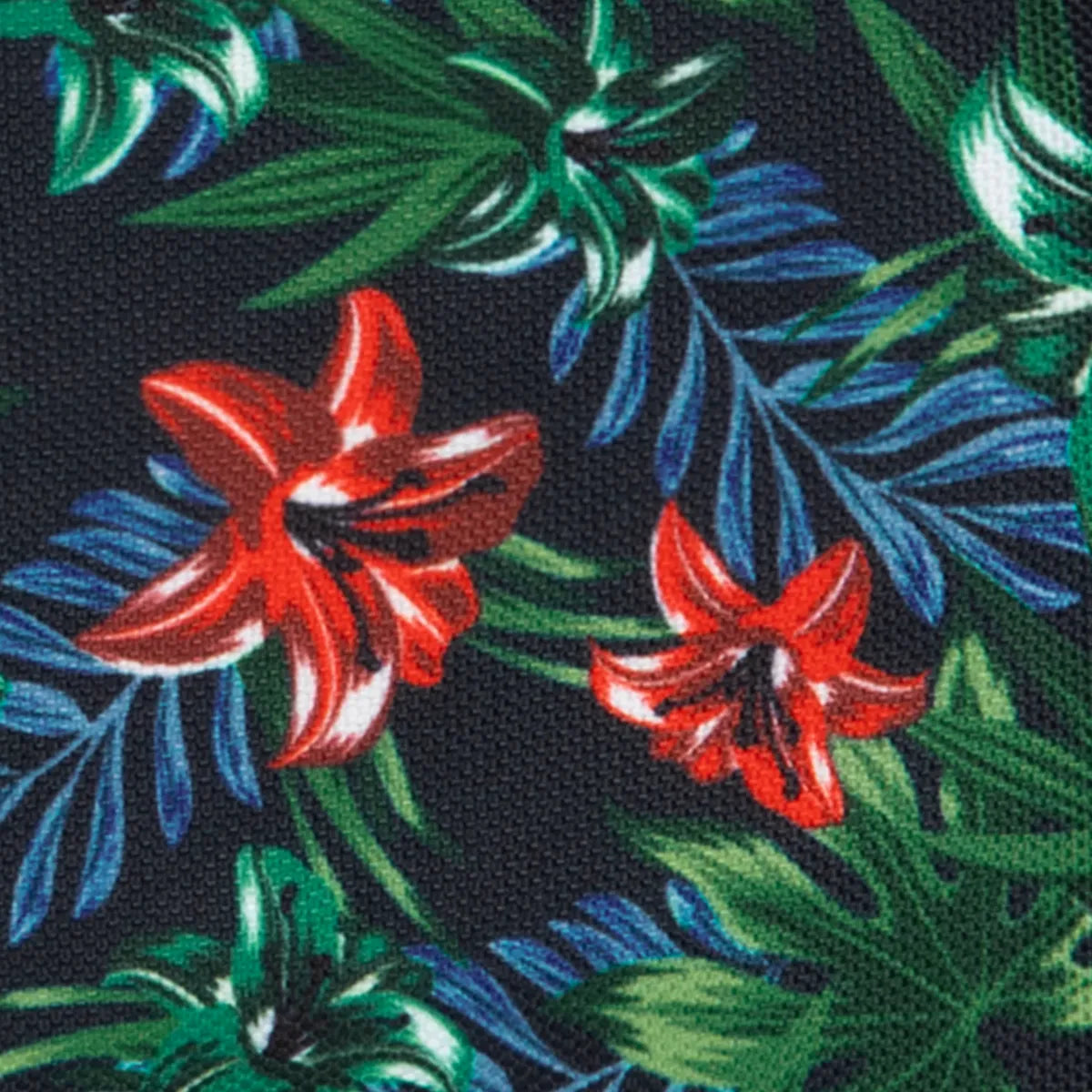 Pochette avant Beaumont Parc